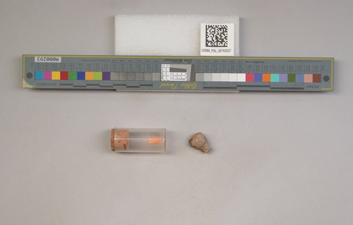 NSF ADBC EPICC TCN