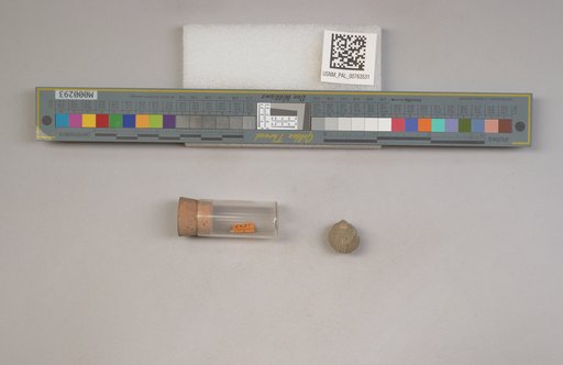 NSF ADBC EPICC TCN