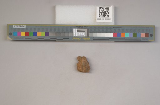 NSF ADBC EPICC TCN