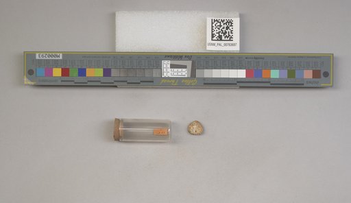 NSF ADBC EPICC TCN