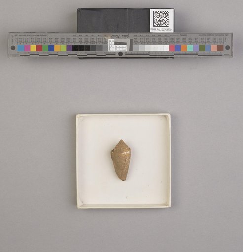 NSF ADBC EPICC TCN