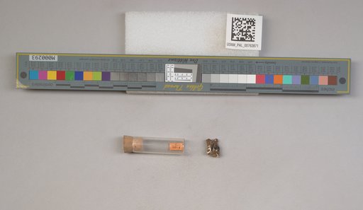 NSF ADBC EPICC TCN
