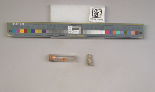 NSF ADBC EPICC TCN