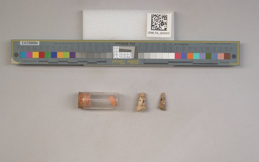 NSF ADBC EPICC TCN