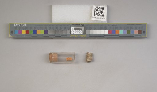 NSF ADBC EPICC TCN