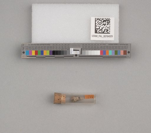 NSF ADBC EPICC TCN