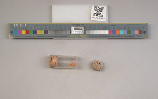 NSF ADBC EPICC TCN