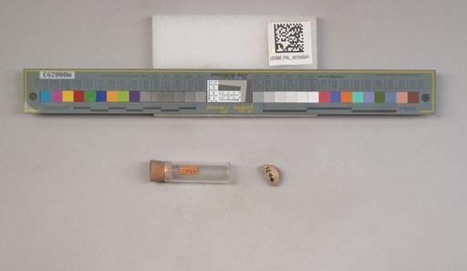 NSF ADBC EPICC TCN