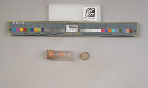 NSF ADBC EPICC TCN