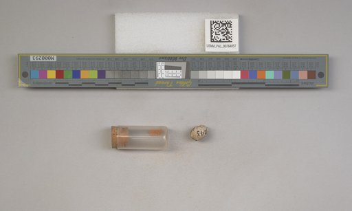 NSF ADBC EPICC TCN