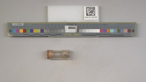 NSF ADBC EPICC TCN