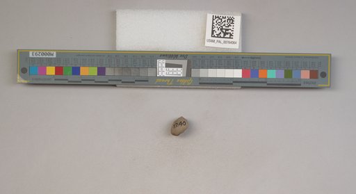 NSF ADBC EPICC TCN