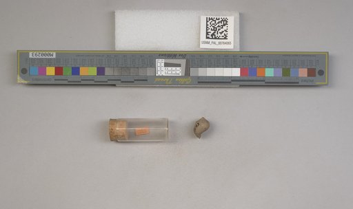 NSF ADBC EPICC TCN