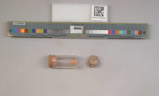 NSF ADBC EPICC TCN