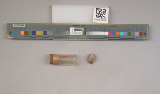NSF ADBC EPICC TCN