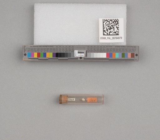 NSF ADBC EPICC TCN
