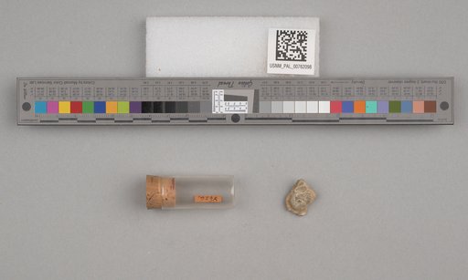 NSF ADBC EPICC TCN