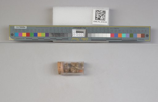 NSF ADBC EPICC TCN