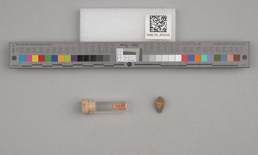NSF ADBC EPICC TCN