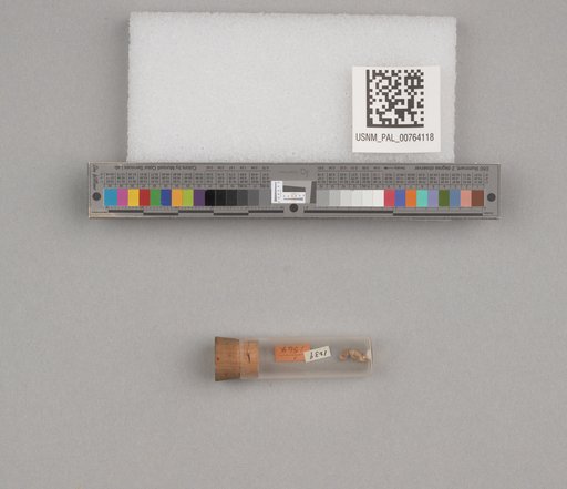 NSF ADBC EPICC TCN