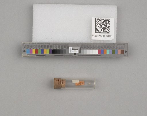 NSF ADBC EPICC TCN