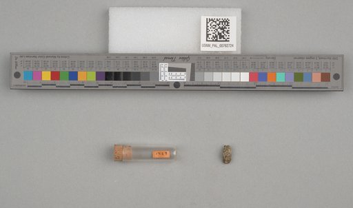 NSF ADBC EPICC TCN