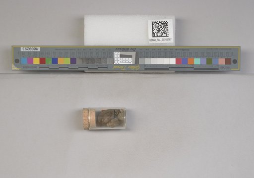 NSF ADBC EPICC TCN