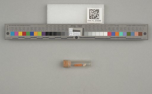 NSF ADBC EPICC TCN