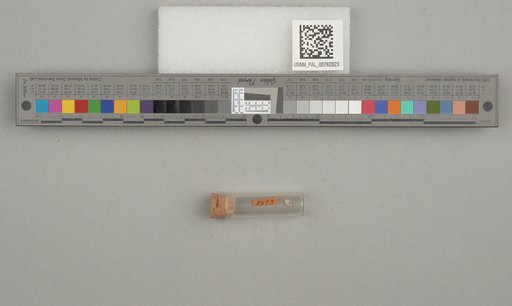 NSF ADBC EPICC TCN