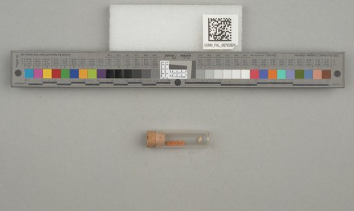 NSF ADBC EPICC TCN