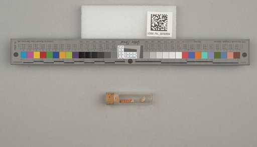NSF ADBC EPICC TCN