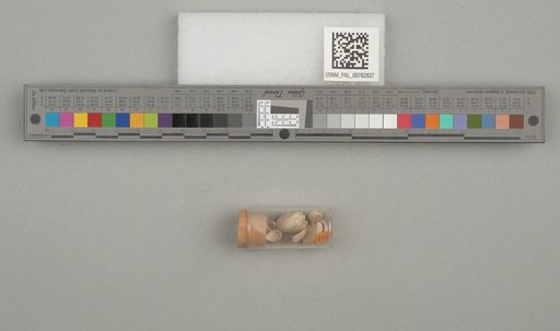 NSF ADBC EPICC TCN