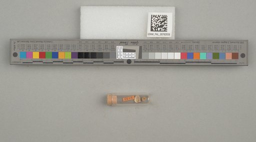 NSF ADBC EPICC TCN