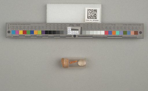 NSF ADBC EPICC TCN
