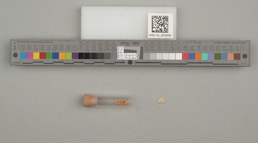 NSF ADBC EPICC TCN