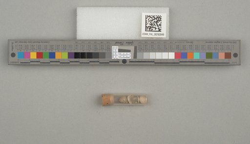 NSF ADBC EPICC TCN