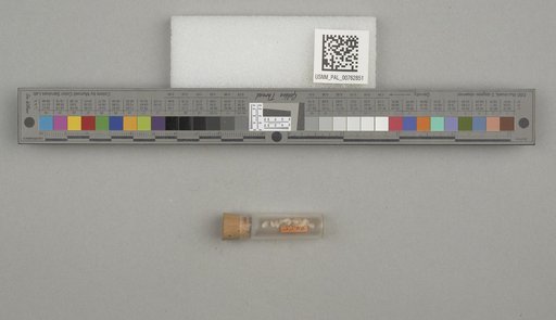 NSF ADBC EPICC TCN