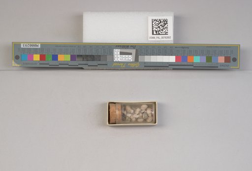 NSF ADBC EPICC TCN