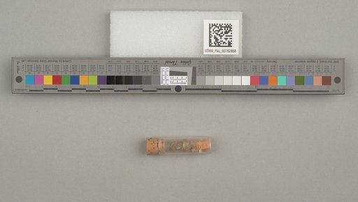 NSF ADBC EPICC TCN