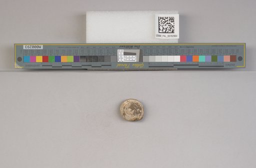 NSF ADBC EPICC TCN
