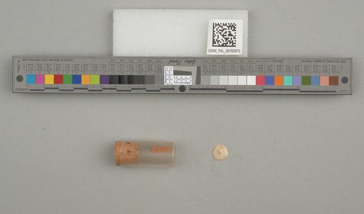 NSF ADBC EPICC TCN