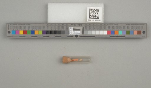 NSF ADBC EPICC TCN
