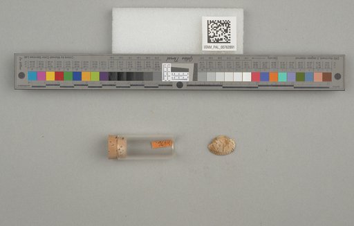 NSF ADBC EPICC TCN