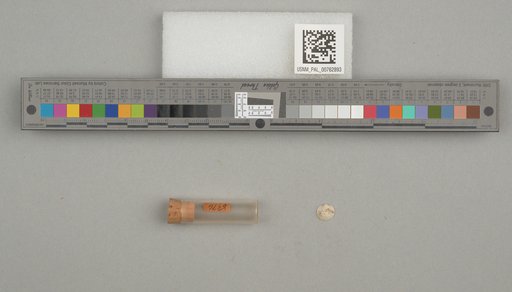 NSF ADBC EPICC TCN