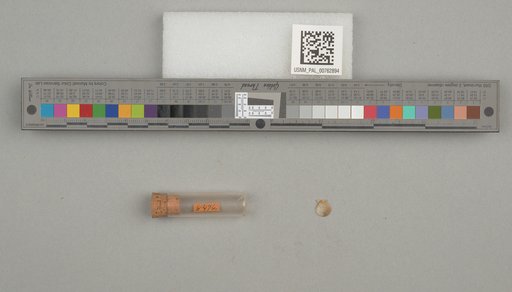 NSF ADBC EPICC TCN