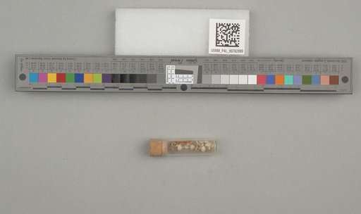 NSF ADBC EPICC TCN