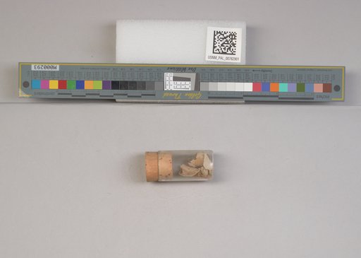 NSF ADBC EPICC TCN