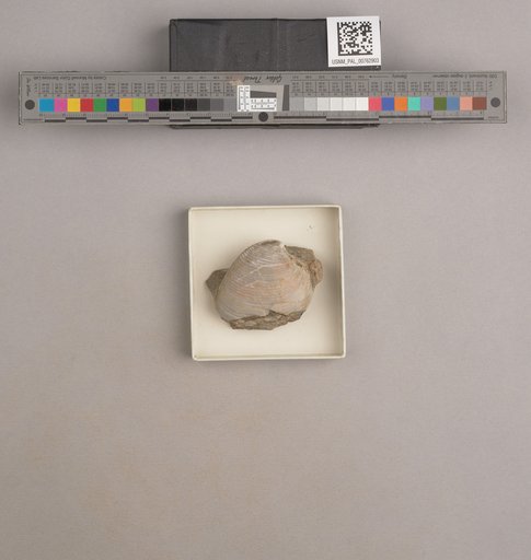NSF ADBC EPICC TCN