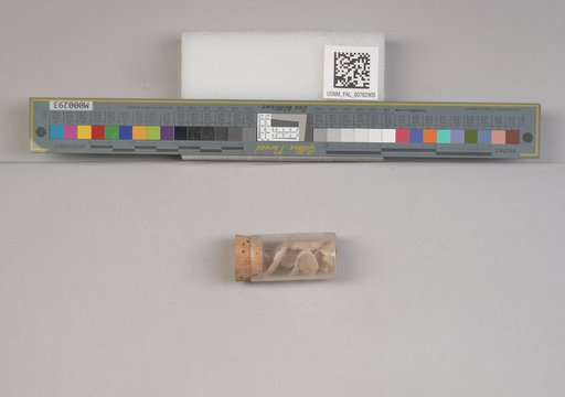 NSF ADBC EPICC TCN