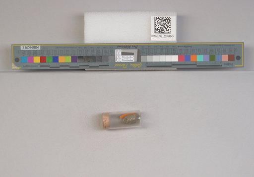 NSF ADBC EPICC TCN